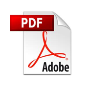 pdf pdf